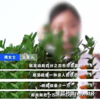 网购花卉哪个平台最好