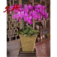 同城鲜花店