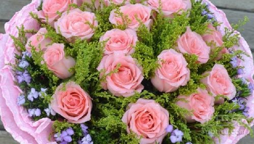 19朵玫瑰花代表什么意思
