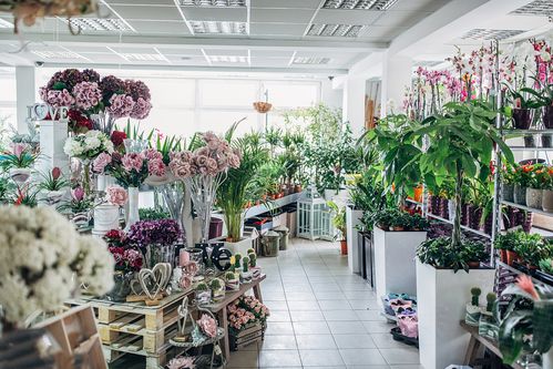 附近哪里有花店鲜花店