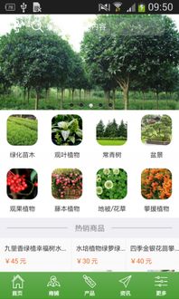 中华苗木网官网