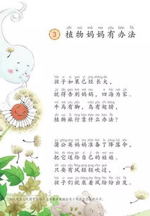 小学二年级植物传播种子的方法