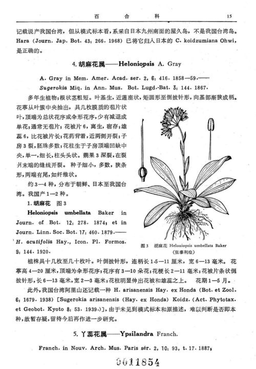 麻花鲜花网