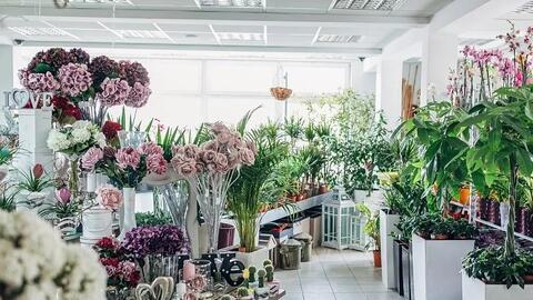 花店最近的