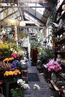 离我最近的鲜花店在哪里