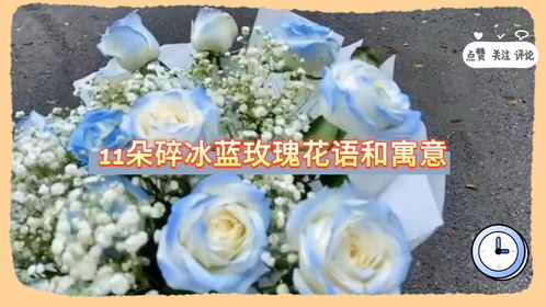 11朵玫瑰花的寓意和花语