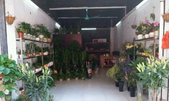 深圳龙岗花店