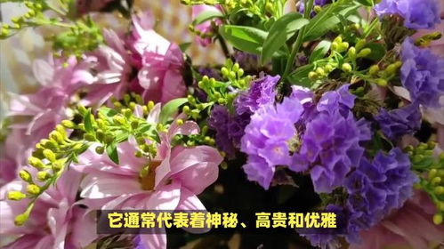 紫色的花有什么寓意