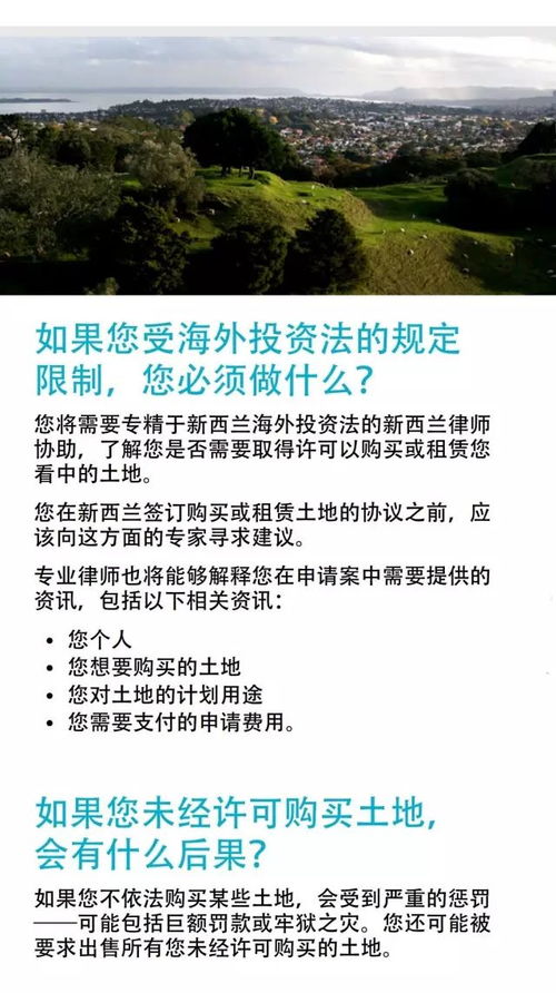 倒卖房产怎么处罚