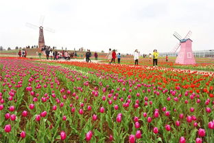 遂宁市花花网