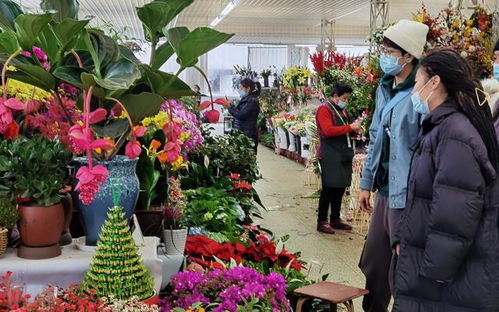 北京鲜花价格