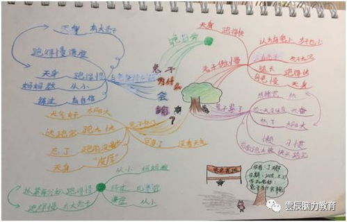 爬山虎的脚思维导图