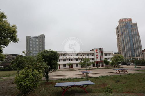 抚州房产学位怎么查