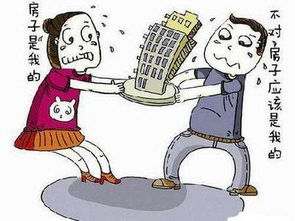 夫妻共有房产怎么判定