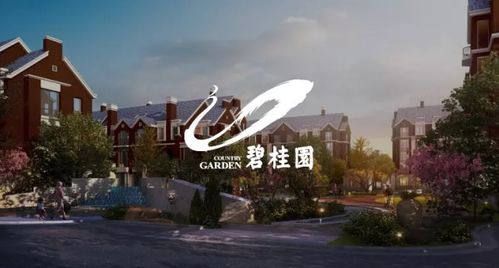 房产接下来怎么拍