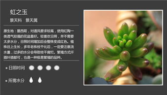 植物传播方法100种