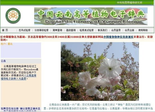 中国植物网站