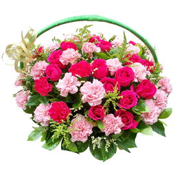 送老师的鲜花图片大全
