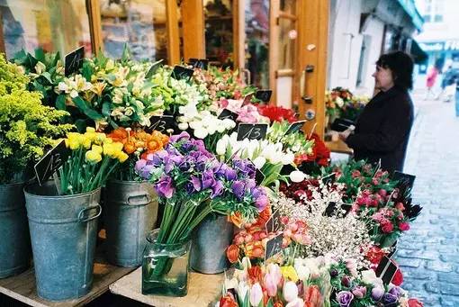附近哪里有卖花的花店