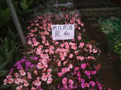 鲜花店一般几点开门