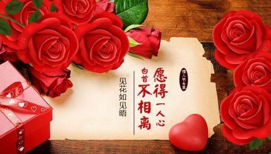 十九朵玫瑰花的寓意