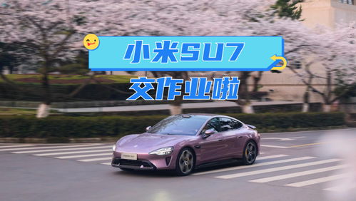 汽车人多少米