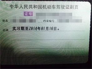 汽车一共多少个级别证