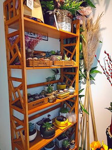 西安花店转让信息