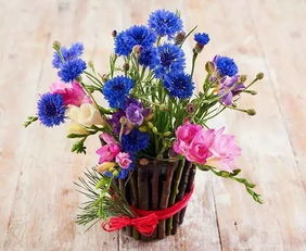 水里加什么可以让鲜花更持久