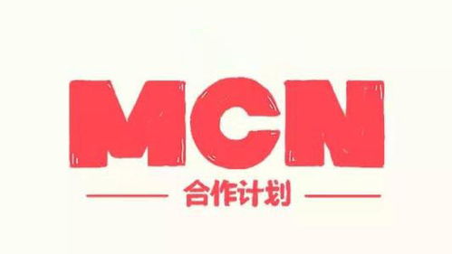 房产mcn怎么做