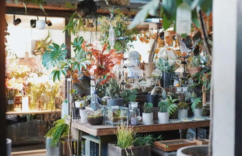 北京花店电话号码大全