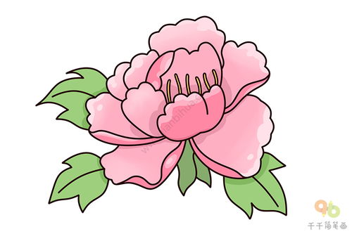 牡丹花怎么画