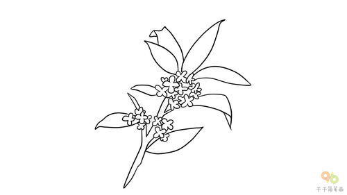 各种花的图片简笔画 各种花的图片简笔画