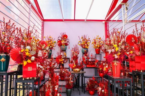 深圳网上买花哪个网站好