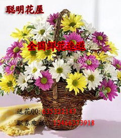 北京网上鲜花预定送花上门
