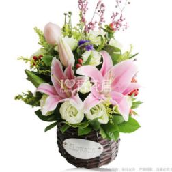 怎么网上订花 怎么网上订花