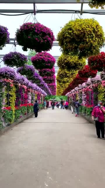 上海鲜花网