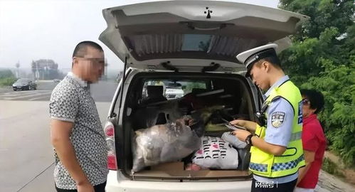 汽车可以拉多少蔬菜