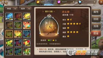 哪些游戏需要培养宠物的