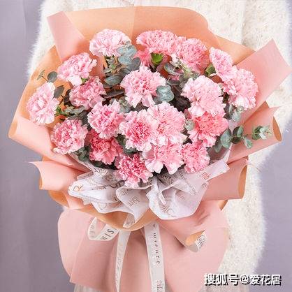 粉色康乃馨花语送老师