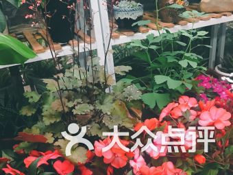 无锡鲜花店