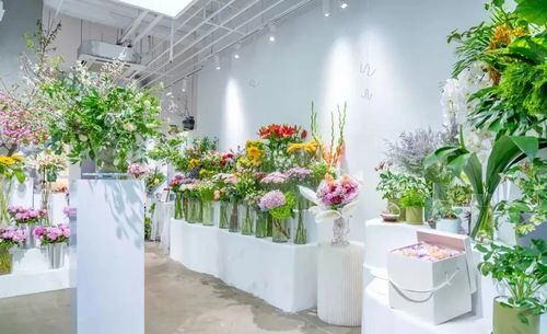 开一家花店需要准备什么