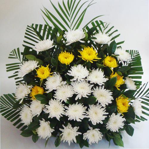 祭奠菊花花束图片