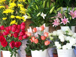 泰安鲜花店哪家好