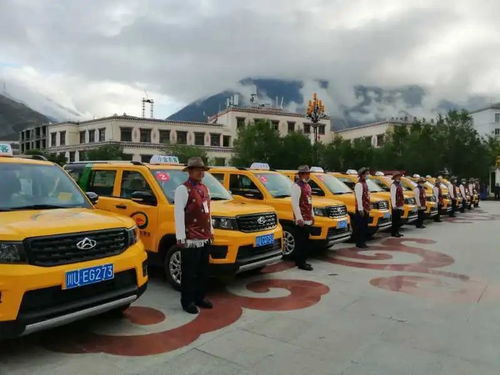 阿坝有多少汽车