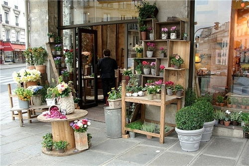 加盟花店能赚钱吗