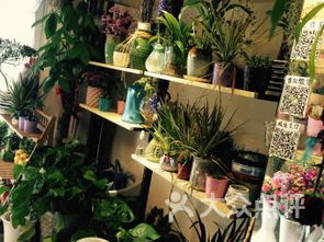 乐清鲜花店推荐