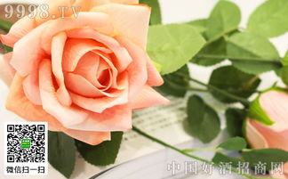 11朵香槟玫瑰的寓意和象征