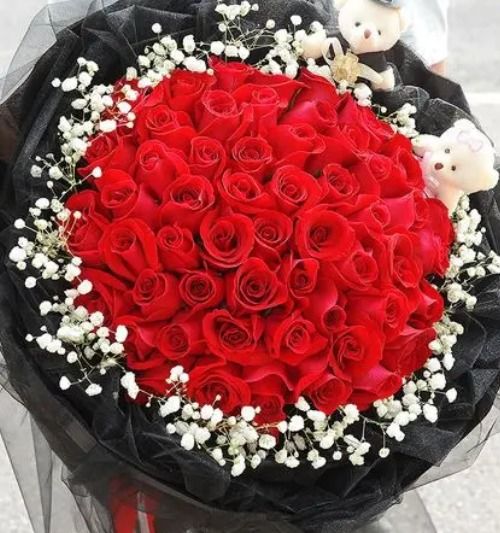 玫瑰花33朵代表什么意义