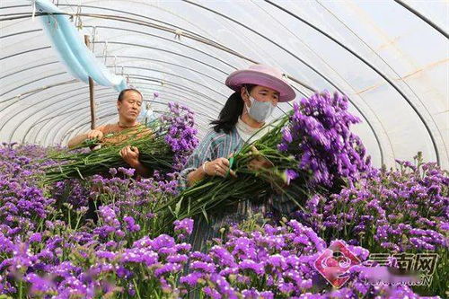 鲜花运输方式